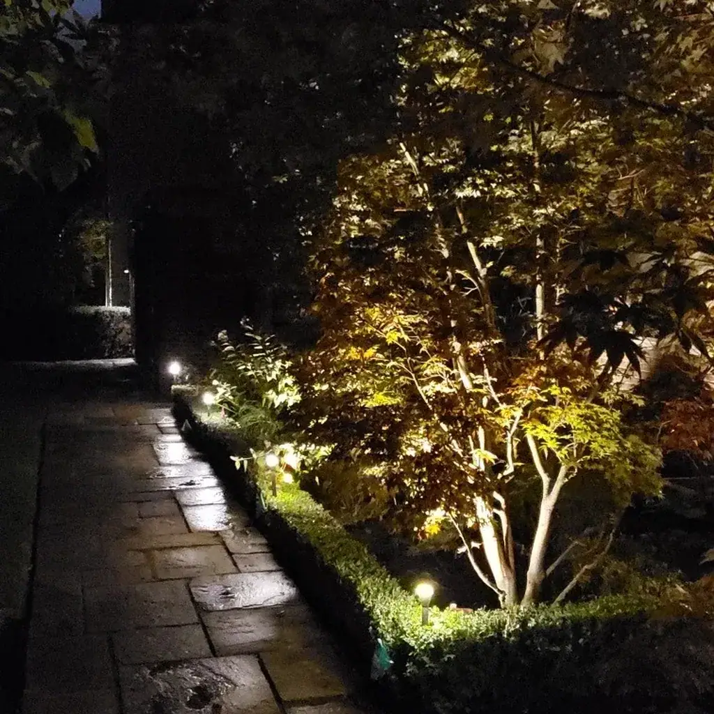 Professional pathway lighting installation in Toronto