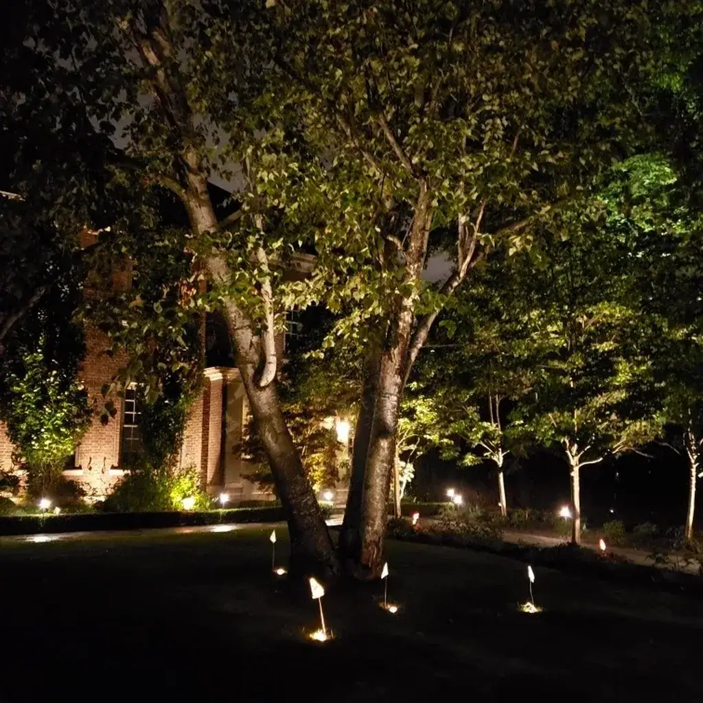 Professional landscape lighting installation
