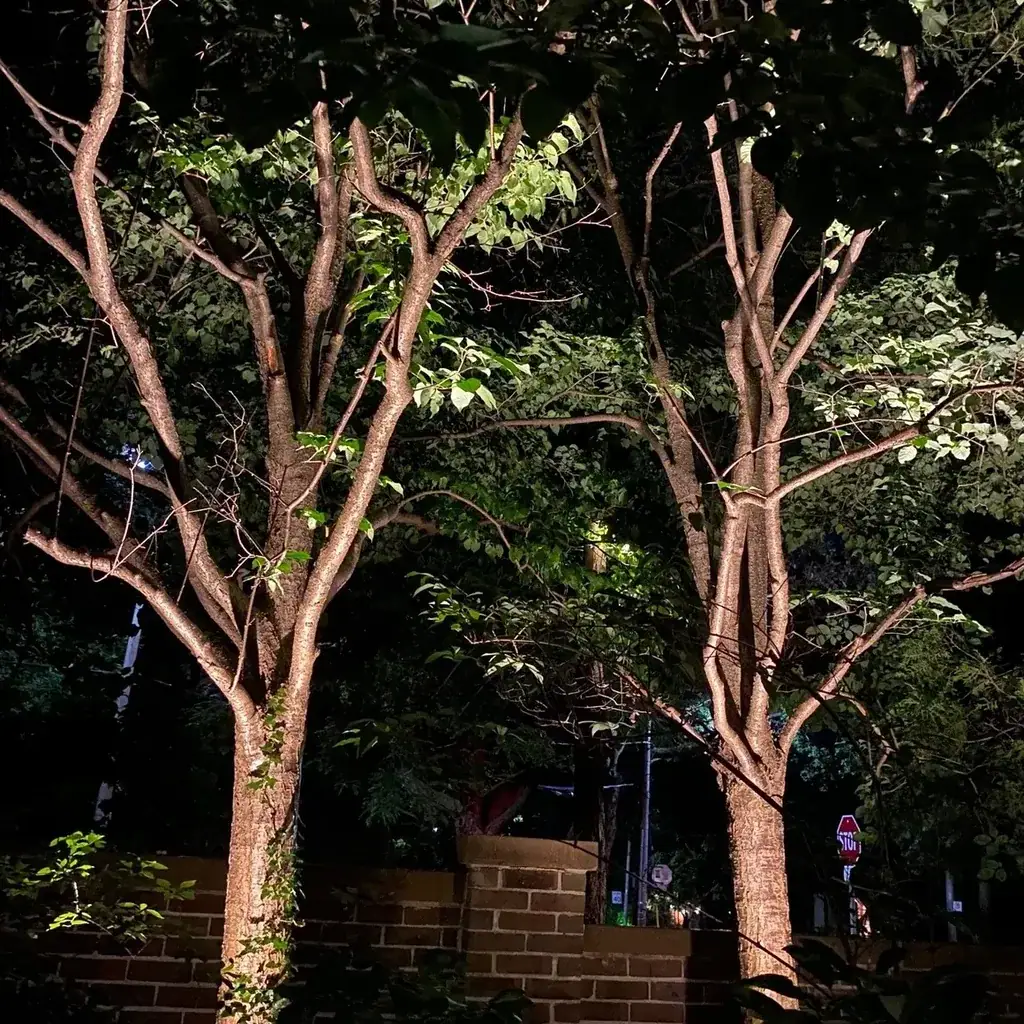 LED lighting upgrade service