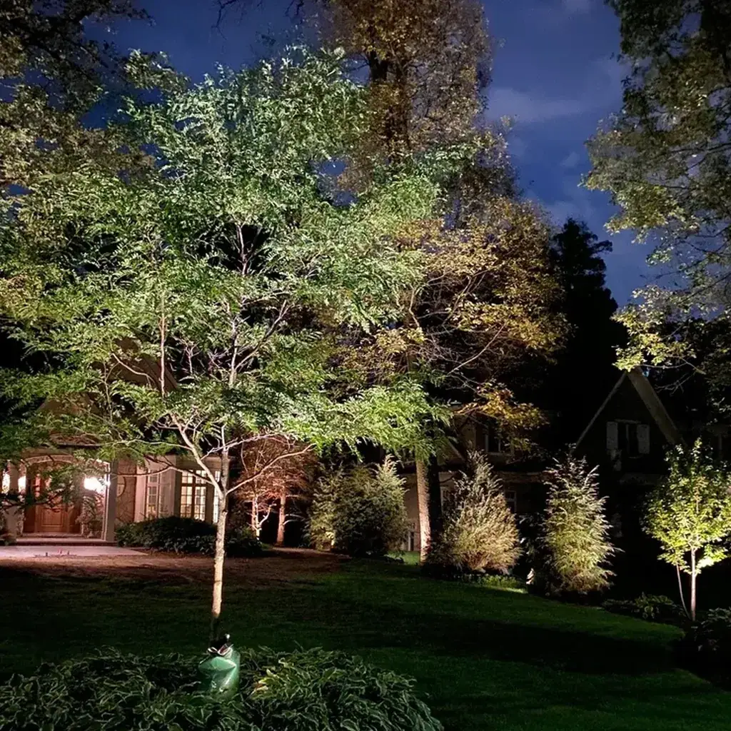 Why Choose Outdoor Lighting